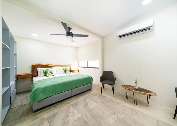 Modern 4br Home, Pool, Parking, Walk To The Holiday home Playa Flamingo